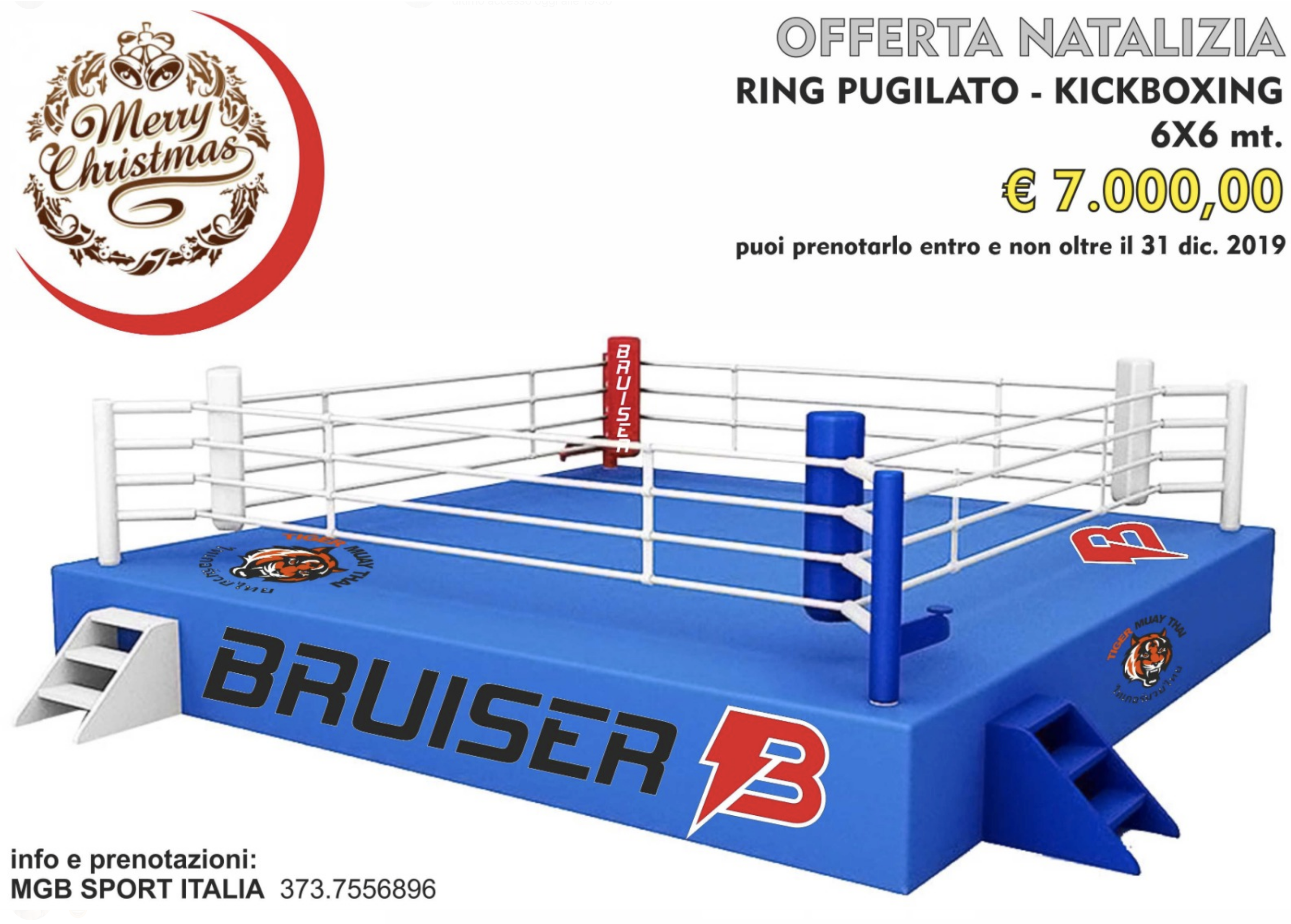 ATTENZIONE IN ARRIVO DA BRUISER: RING SUPER ECONOMICO.