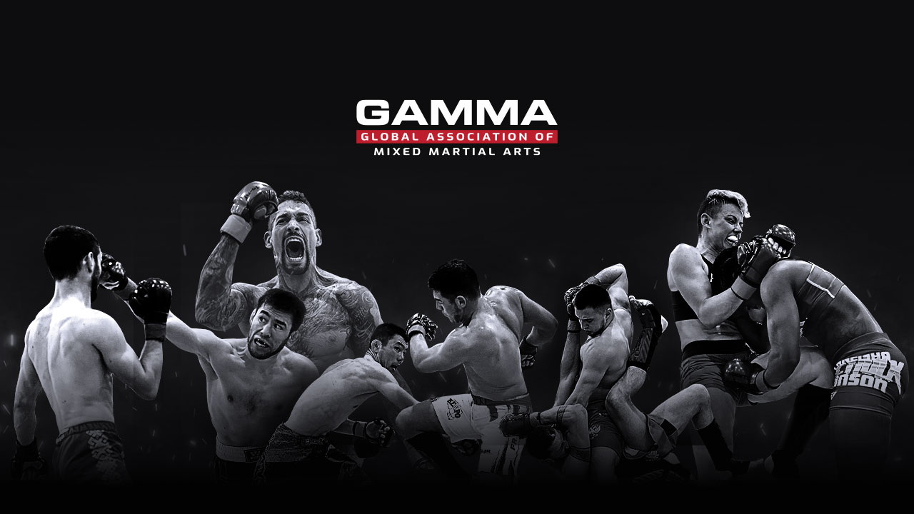 28 NOVEMBRE: COLLEGIALE MMA A ROMA.