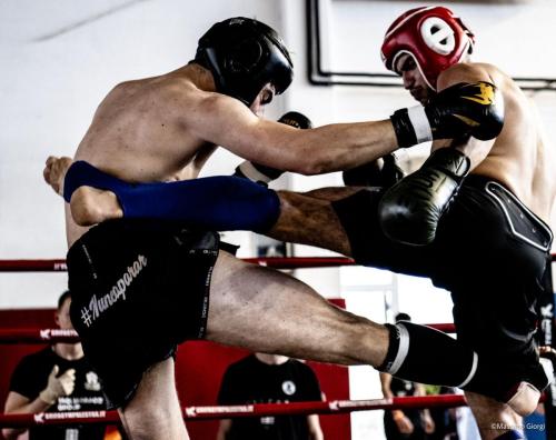 Immagine WhatsApp 2024-05-13 ore 13.16.15 b0c42147