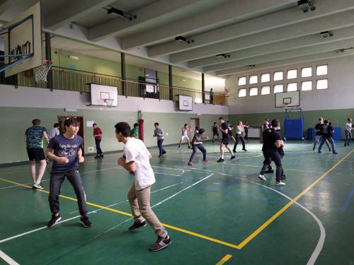 SAVATE Liceo Scientifico A. Einstein di Milano3