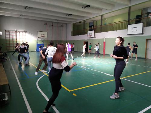 SAVATE Liceo Scientifico A. Einstein di Milano4